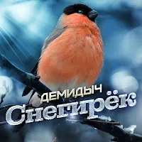 Демидыч — Снегирек — обложка